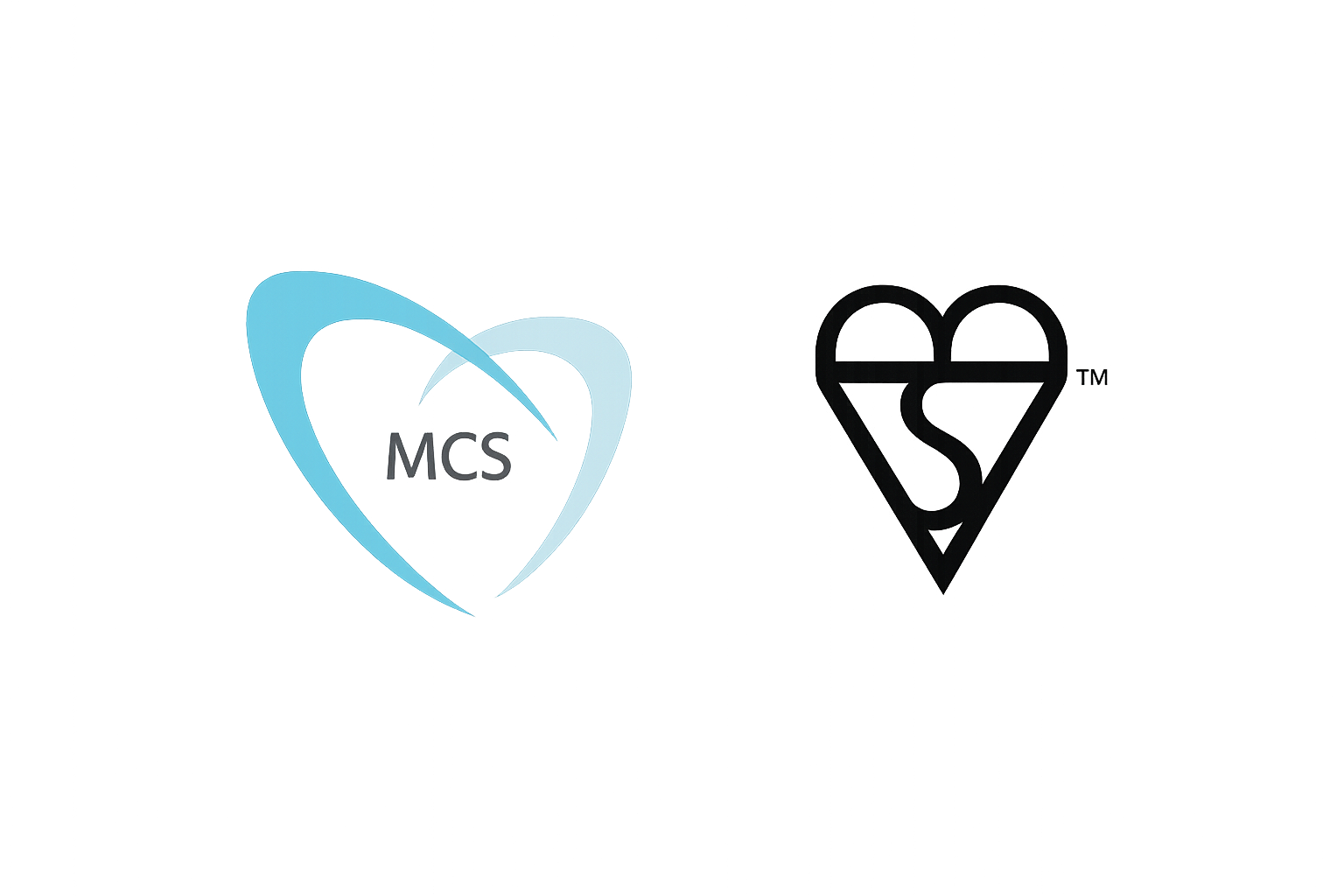 mcs1 1